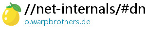 //net-internals/#dns